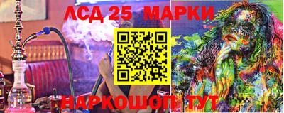 прущие грибы Гатчина