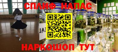 индика Гагарин