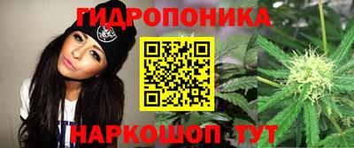 индика Гагарин