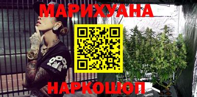 прущие грибы Гатчина