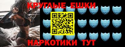 прущие грибы Гатчина